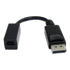 StarTech.com 6in DisplayPort to Mini DisplayPort Video Cable Adapter (DP2MDPMF6IN) - Adaptér DisplayPort - DisplayPort (M) do Mini DisplayPort (F) - 15.2 cm - lisovaný - pro P/N: SV231DPU, SV231DPUA