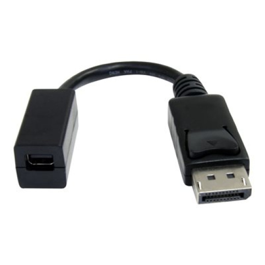 StarTech.com 6in DisplayPort to Mini DisplayPort Video Cable Adapter (DP2MDPMF6IN) - Adaptér DisplayPort - DisplayPort (M) do Mini DisplayPort (F) - 15.2 cm - lisovaný - pro P/N: SV231DPU, SV231DPUA