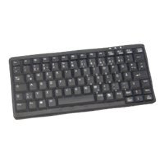 Active Key AK-4100-P - Klávesnice - PS/2 - americká - černá