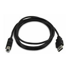 StarTech.com - Kabel USB - kompatibilní s TAA - USB (M) do USB typ B (M) - USB 2.0 - 1.8 m